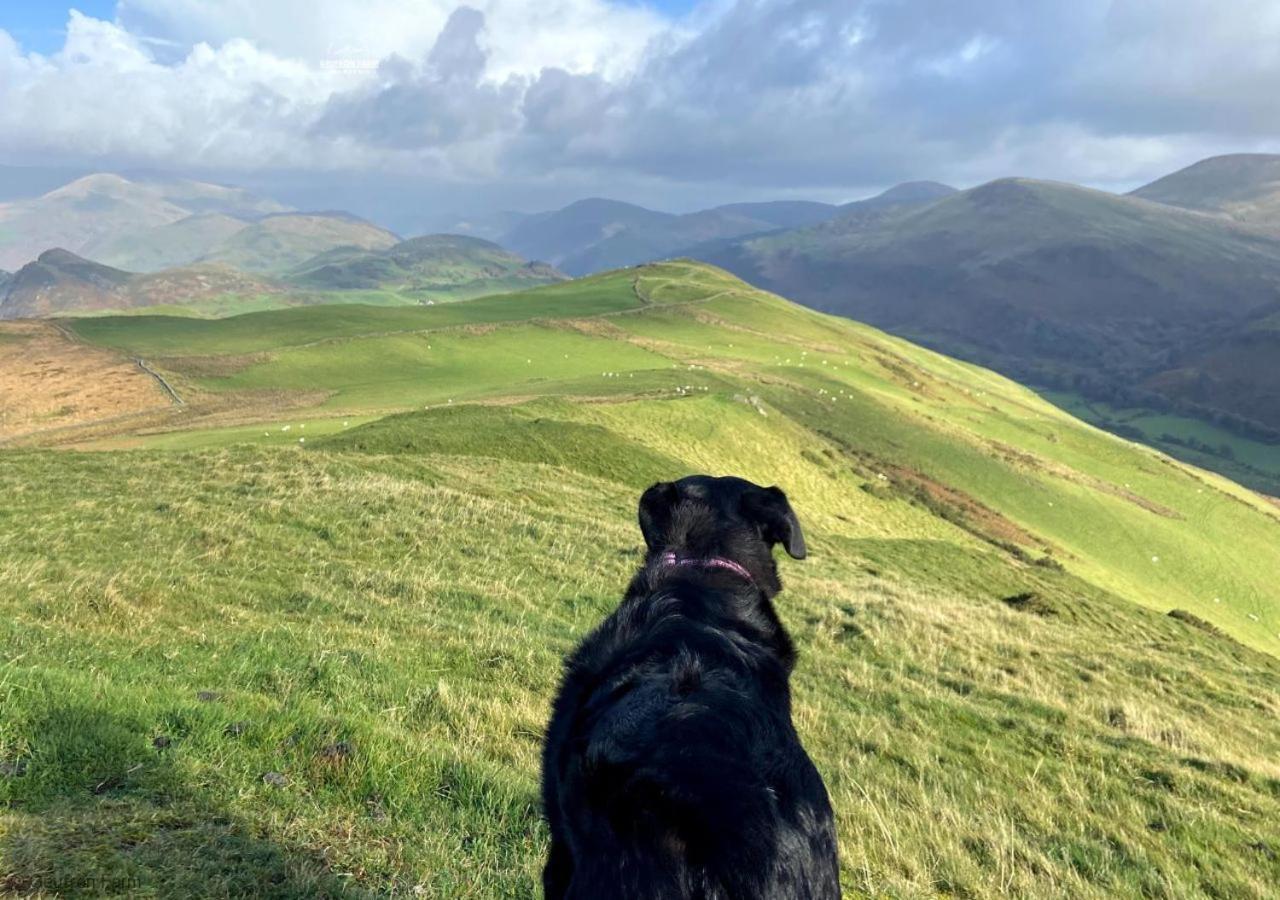 Farmhouse & Cottage At Geufron Farm - Dog Friendly Bryn-crug 外观 照片